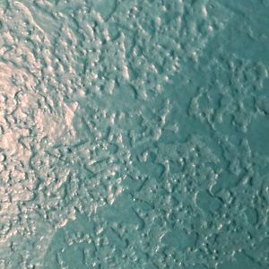 Meet your Posher, Maci